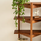 Wooden bookshelf with a plant and books against a plain wall