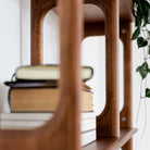 Wooden bookshelf with books and a plant in a bright room